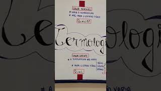 MAPA MENTAL DE TERMOLOGIA  CALOR E TEMPERATURA [upl. by Ylime386]