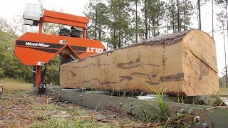 Milling a HUGE Sweet Gum log Beautiful [upl. by Violetta]