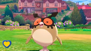 HOW TO GET Hoothoot in Pokémon Sword and Shield [upl. by Nonnair]