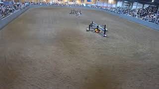 Topeka Livestock Auction Live Stream [upl. by Eugine]