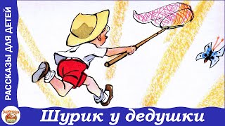 Шурик у дедушки Рассказ Николая Носова [upl. by Leelahk]