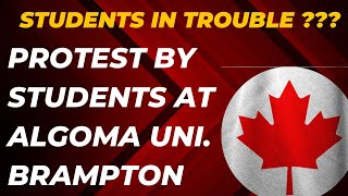 Why International Students are protesting at Algoma University Brampton Students in trouble visa [upl. by Durrett]