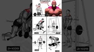 تمارين رائعة لعضلات الترابيس عضلة شبه منحرفة   trapezius workout [upl. by Schear413]