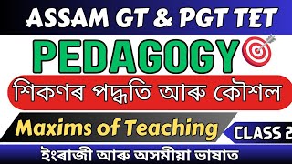 Assam GT PGT TET ❤️ 2024  Pedagogy Topic wise  Maxims of Teaching  Syllabus wise ❤️ [upl. by Fulviah634]