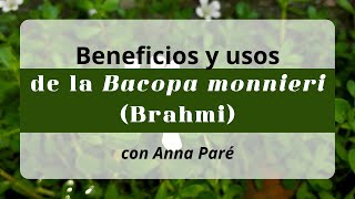 Beneficios y usos de la Bacopa monnieri Brahmi [upl. by Tray650]