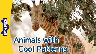 Fun with Animal Patterns for Kids  Cheetah Ladybug Siberian Tiger Zebra Giraffe  Little Fox [upl. by Charles237]