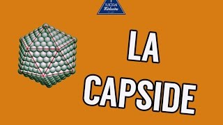 02  La Capside [upl. by Merce]