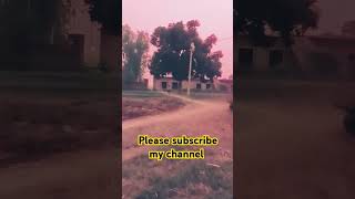 Shakha Gaddarcomedy dilouge ajaydevgan funnyvideos village shortvideos short [upl. by Lorn]