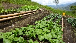 Características de la Agroecologia una Agricultura Más Sana  TvAgro por Juan Gonzalo Angel [upl. by Ferna80]