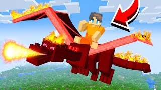 We Adopted Dragons in Minecraft [upl. by Neumann899]