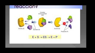 cinetica enzimatica 2024 resolviendo ejercicios [upl. by Lustig]