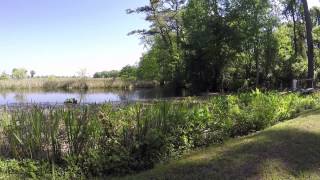 SOLD Lot 226 Olde Canal Loop Pawleys Island SC [upl. by Nnovahs544]