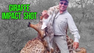 Ramon’s Limpopo Hunting Trip  Full Length Safari [upl. by Rivard244]