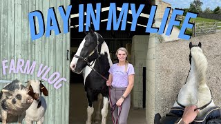 FARM VLOG  Riding Lucy Hogging Manes amp Updates on the animals 🐷 [upl. by Nageem]