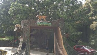 Topslip amp Parambikulam Wildlife Tourism [upl. by Riess916]