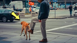 A Man Kicked a Stray Dog But Then the Most Amazing Thing Happened [upl. by Ezmeralda636]