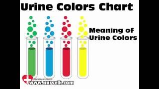 Urine Colors Chart Meaning of Urine Color [upl. by Nylatsirhc]