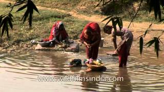 How women do laundry in rural India  Uttar Pradesh [upl. by Danella698]