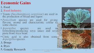 Importance of Fungi fsc  Biology Fungi Online Classes Ecological economicimpact [upl. by Harned]