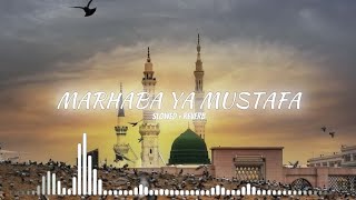 Marhaba Ya Mustafa Slowed  Reverb New Naat Sarif 2024  Milad Raza Qadri  Miladunnabi Naat Sarif [upl. by Cesaria]