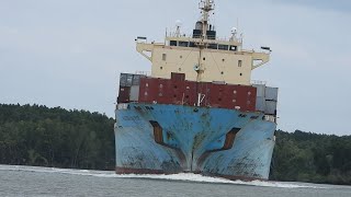 Breathtaking Moments Maersk Rusty Container Ships Turning on the River [upl. by Yedsnil591]