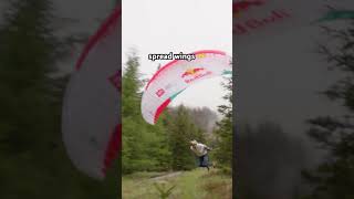 gliding into the history books 🪂 redbull worldrecord paraglide PatrickvonKanel [upl. by Hotze]