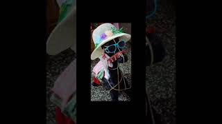 Cute decorated horse art handmadecreation youtubeshorts [upl. by Novelia]