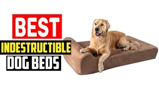 ✅Top 5 Best Indestructible Dog Beds in 2024 [upl. by Elcarim]