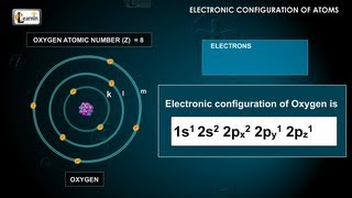 Electronic configuration of atoms using Aufbau Paulis principle and Hunds rule  Chemistry [upl. by Sivatnod]