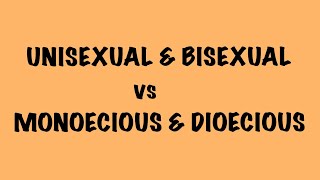 Difference between unisexual and bisexual  monoecious and dioecious  NEET UG CBSE  Komal Yadav [upl. by Treacy]