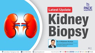 Kidney Biopsy Video  Updated 2023  Kidney Biopsy  Process Preparation Results amp Side Effects [upl. by Lunt335]