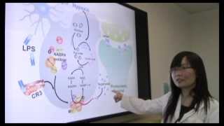 LongTerm Synaptic Depression Triggered by Microglia [upl. by Annabelle]