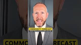 COMMODITY PRICE FORECAST 12 SEPTEMBER 2024 [upl. by Eelsnia]