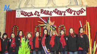 maestrattv  Benicarló  Festa de Sant Antoni 2016 Cavalcada [upl. by Suhail395]