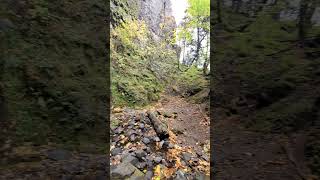 Cabin Creek Falls Starvation Creek State Park Oregon [upl. by Yorick]