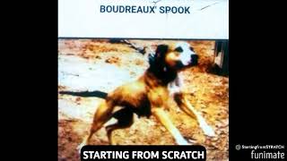 American Pitbull Terrier Boudreauxs Spook The Eli strain [upl. by Nnanerak]