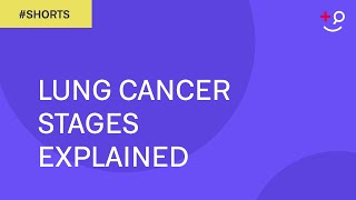 Lung Cancer Stages Explained Shorts [upl. by Hasina868]