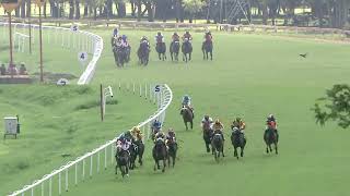 NATURAL GOLD with Aman up wins The Red Rufus Plate Div1 2024 RACE NO 39 [upl. by Max416]