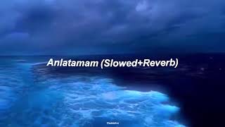 AnlatamamSlowedReverb [upl. by Garbe]