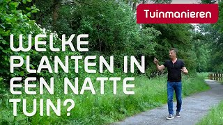 Welke planten doen het goed in een natte tuin  Tuinmanieren [upl. by Suoiradal]