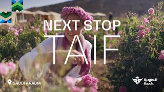 Next Stop  Season 1  Visit Taif [upl. by Yramesor725]