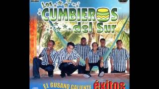 los cumbieros del sur mix [upl. by Nuzzi]