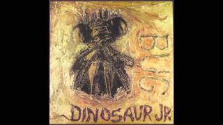 Dinosaur Jr  No Bones [upl. by Ahsenyt]