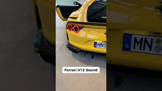 Ferrari V12 SOUND sportscar shorts ferrari12cilindri [upl. by Hedy880]