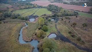 Yonne  la renaissance du marais de la vallée de la Druyes [upl. by Martijn]