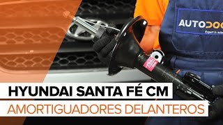 Cómo cambiar Amortiguadores delanteros en HYUNDAI SANTA FÉ CM INSTRUCCIÓN [upl. by Lombardo]