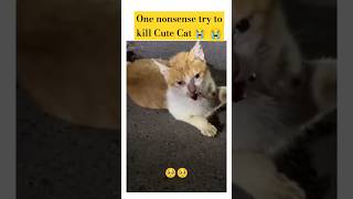 Cat Killer cat trending catlover shortsvideo viralvideo viralshort shortfeed shorts [upl. by Amado]