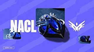 DSTL vs FXS  Grand Finals  NACL Summer 2024 NACL Fearless [upl. by Beard]