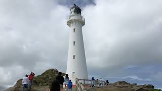 Castlepoint Lighthouse  amazing view easy hike  MUST VISIT while in masterton newzealand [upl. by Adnaloy]