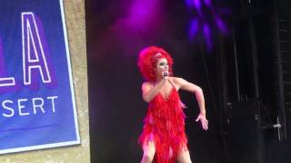 Priscilla Queen of the Desert  West End Live 2014 [upl. by Drucy807]